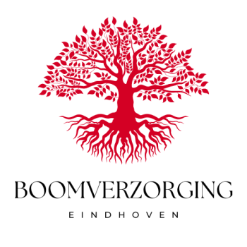 Boomverzorging Eindhoven