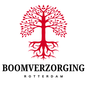 Boomverzorging Rotterdam